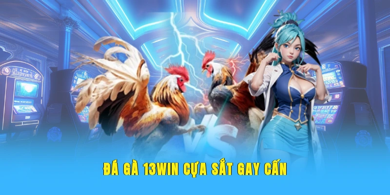 Đá gà 13WIN cựa sắt gay cấn